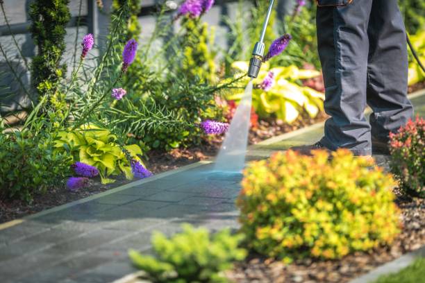 Best Spring Cleaning  in Flandreau, SD