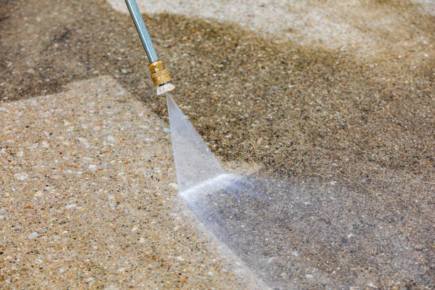 Best Gutter Cleaning  in Flandreau, SD